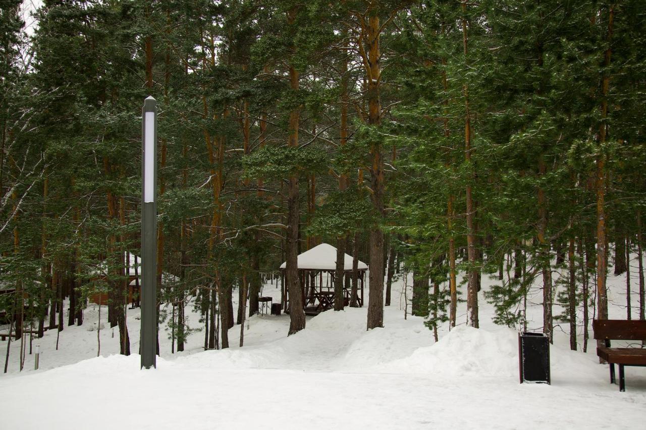 מלון Barmashino Park House מראה חיצוני תמונה